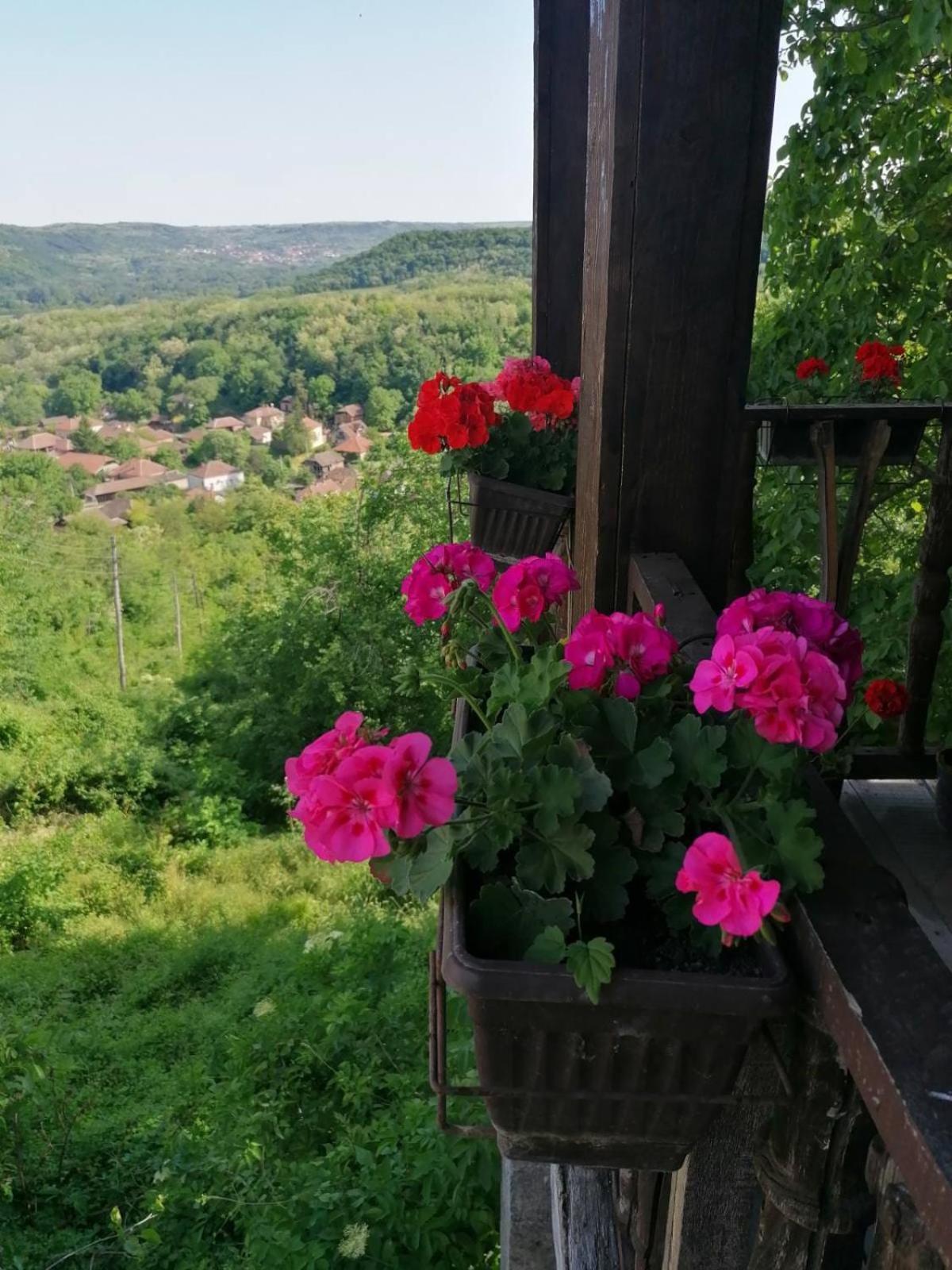 Country House Pivnica Milic Rogljevo Leilighet Eksteriør bilde