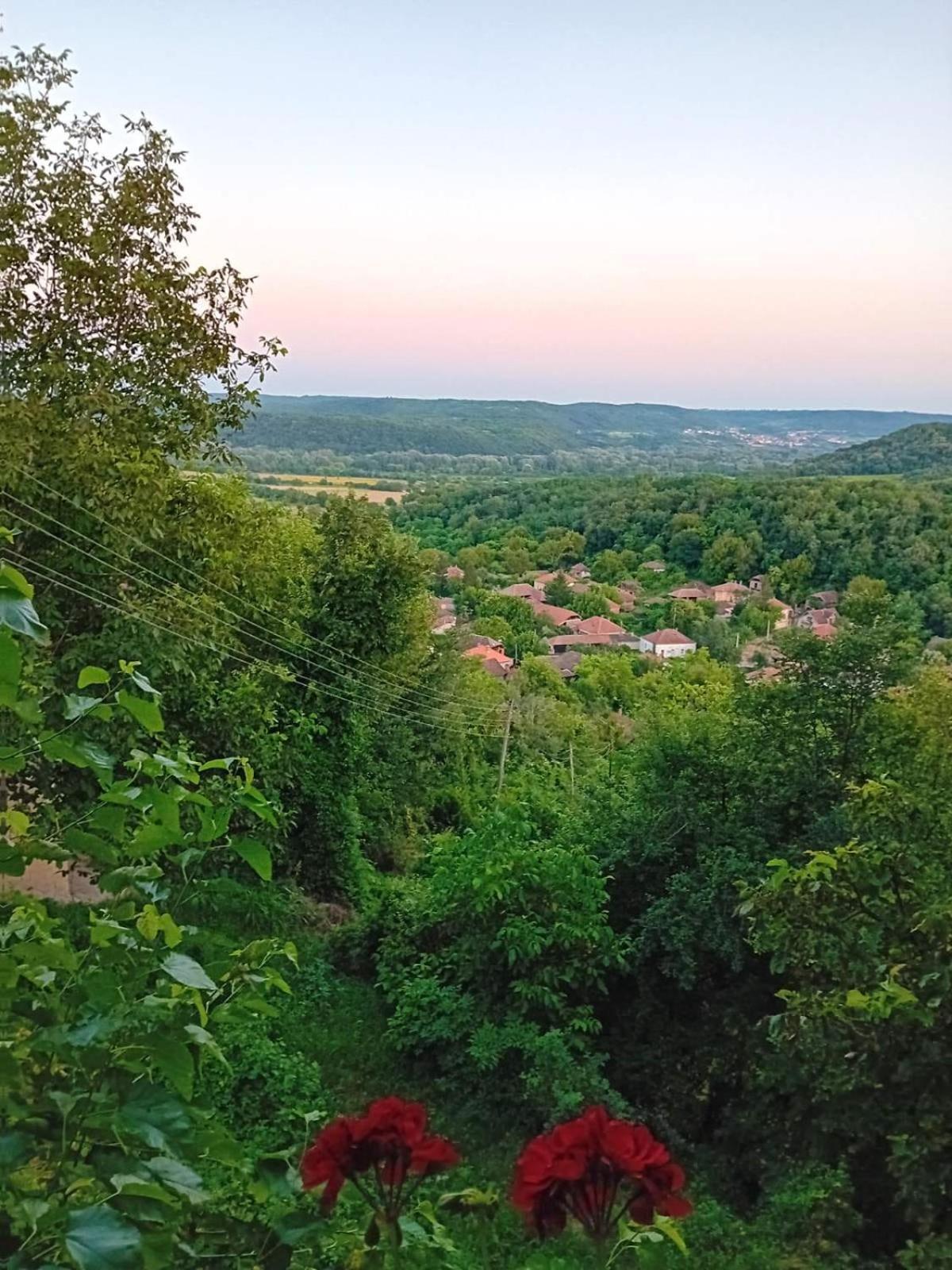 Country House Pivnica Milic Rogljevo Leilighet Eksteriør bilde